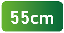 55cm