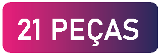 21 PEÇAS