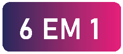 6 em 1