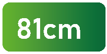 81cm