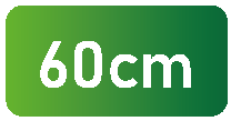 60cm