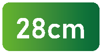 28cm